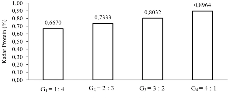 Gambar 6. Hubungan perbandingan gum arab dan CMC dengan kadar protein mayonnaise  
