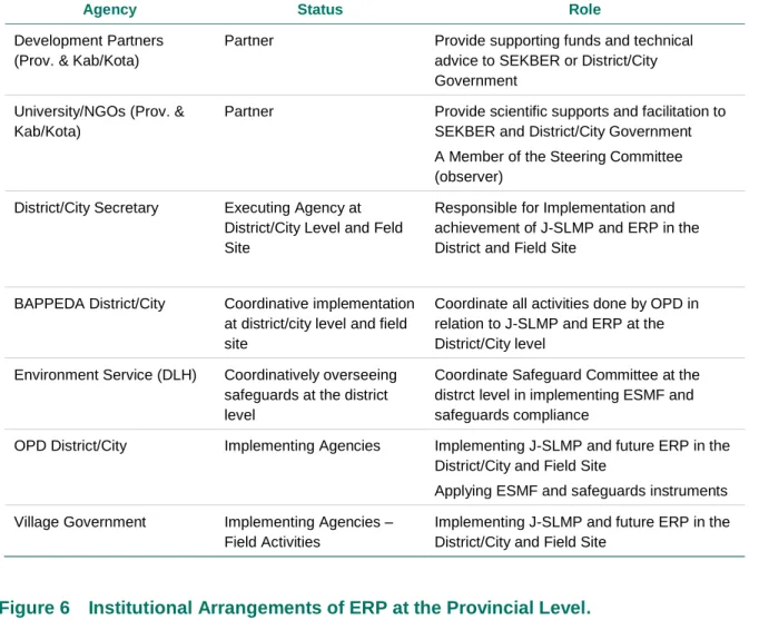 Figure 6   Institutional Arrangements of ERP at the Provincial Level. 