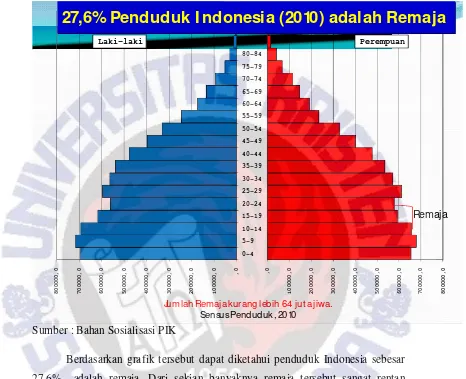 Grafik 2. Piramida Penduduk Indonesia Tahun 2010 