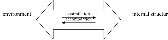 Figure 2.1 Linkages assimilation and accommodation (Source: Labinowicz, 1980:32) 