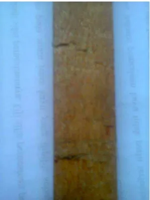 Tabel 8. Persentase rata-rata permukaan bebas cacat pada proses pembentukan kayu raru 