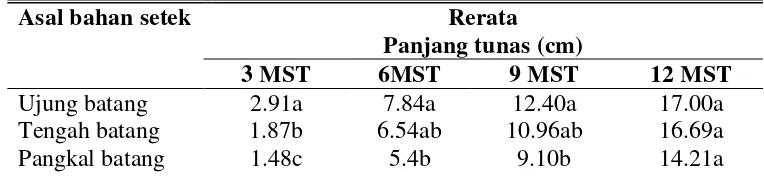 Tabel 6. Rerata panjang tunas pada tanaman nilam umur 3, 6, 9, dan 12 MST akibat perlakuan asal bahan setek