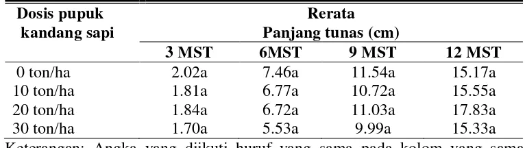 Tabel 7. Rerata panjang tunas pada tanaman nilam umur 3, 6, 9, dan 12 MST akibat perlakuan dosis pupuk kandang sapi