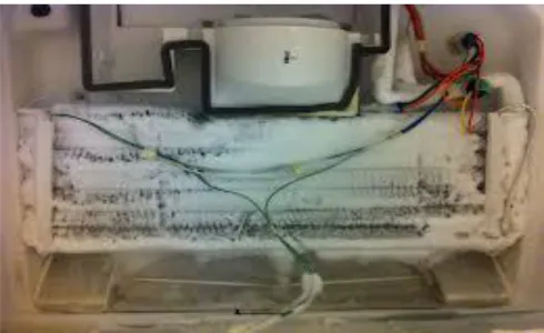 Gambar 2.1 Defrosting Evaporator 