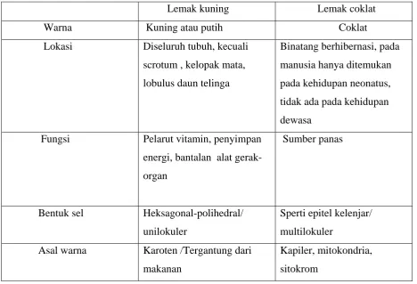 Tabel 2 : Perbedaan lemak kuning dan lemak coklat 