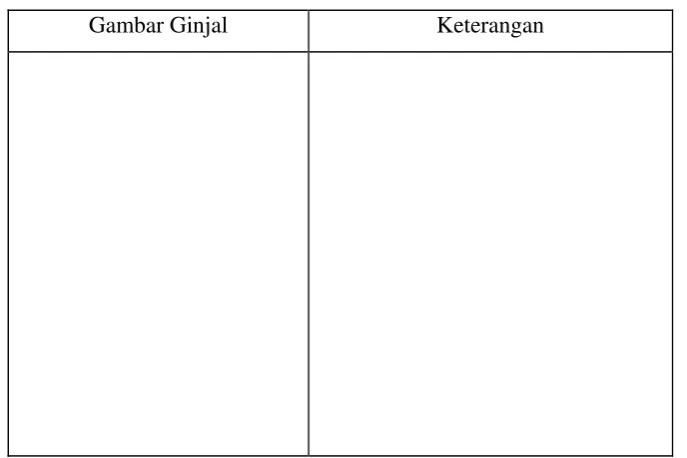 Gambar Ginjal 