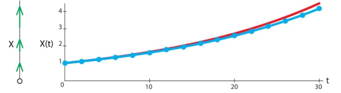 Figure 2.26: Left: state space and vector field for X ′ = 0.05X. Right: time series plots showing e 0.05t (red) and Euler integration of X ′ = 0.05X (blue)