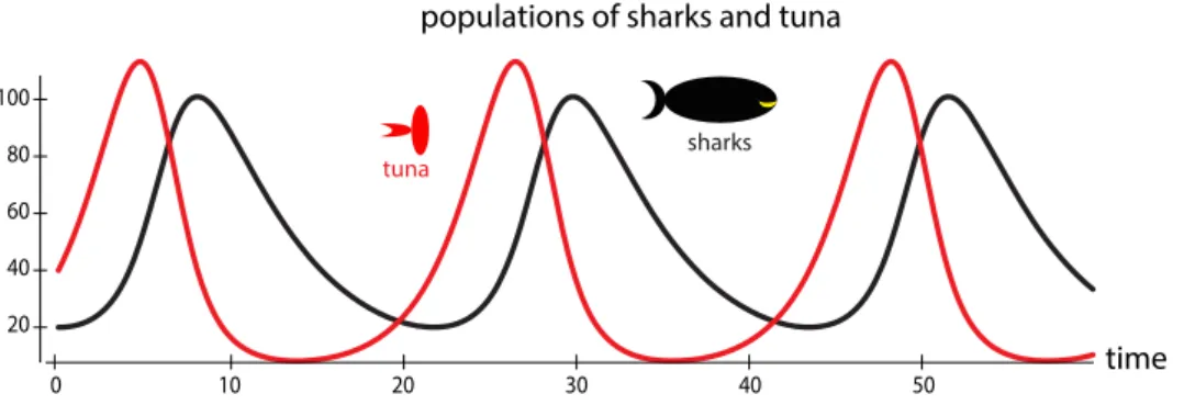 Figure 1.2: Behavior predicted by a model of interacting predator (shark) and prey (tuna) populations.