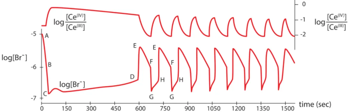 Figure 4.1: Oscillations in reaction products in the Belousov reaction. Redrawn with permission from “Oscillations in chemical systems II: Thorough analysis of temporal oscillation in the  bro-mate–cerium–malonic acid system,” by R.J