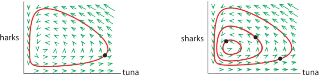 Figure 1.41: Left: One trajectory for the Shark-Tuna model, starting from the initial condition at the black dot