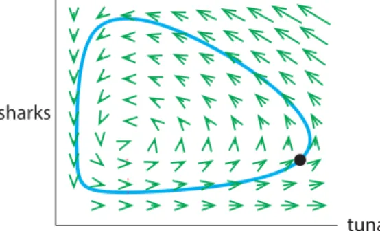 Figure 1.52: Euler’s method approximation to the shark–tuna model. The short blue straight lines of Euler’s method are too small to be seen here