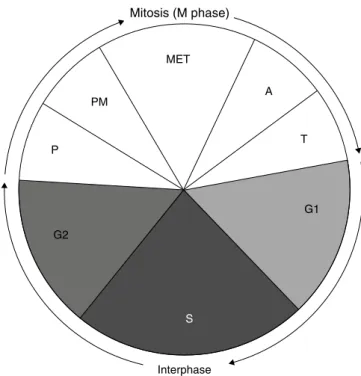 Table 1.4  Fidelity of various polymerases