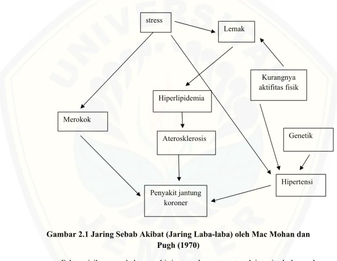 Gambar 2.1 Jaring Sebab Akibat (Jaring Laba-laba) oleh Mac Mohan dan  Pugh (1970) 