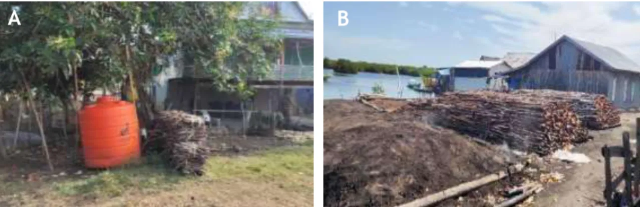 Gambar 5. Hasil penebangan pohon mangrove untuk kayu bakar di Pulau Tanakeke (A) dan produksi arang di  Pulau Lantangpeo (B)