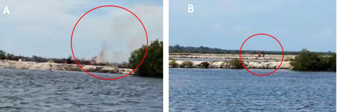 Gambar 6. Kegiatan konversi kawasan mangrove menjadi tambak di Pulau Tanakeke. Pembakaran pohon  mangrove yang telah ditebang (A) dan penggalian dengan Excavator (B)