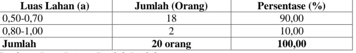Tabel 13.  Luas  Lahan Responden  yang  Berusaha Tani  Tanaman Kencur di Desa  Kading, Kecamatan Tanete Riaja, Kabupaten Barru, Tahun 2014