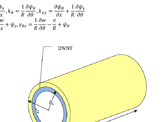 Figure 1. A double-walled CNT embedded in an elastic medium. 