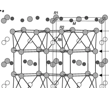 Fig. 11. Structure of R 5 M 2 Bi (R = Y, Gd, Tb, Dy, Ho, Er, Tm, Lu; M = Ni, Pd, Pt) (Mo 5 B 2 Si-type).