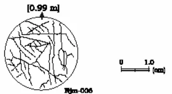 Figure 1. Fractures on bore sample. Solid lines indicate fractures (Nakamura, 2001).