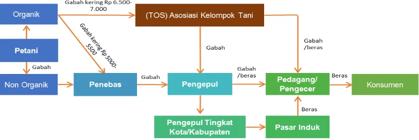 Gambar 2.  Rantai Pasar Beras Organik (Premium) dan Non-Organik Sawangan, Magelang, Jawa Tengah 