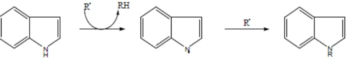 Gambar 4.8 Mekanisme peredaman radikal bebas oleh senyawa alkaloid 