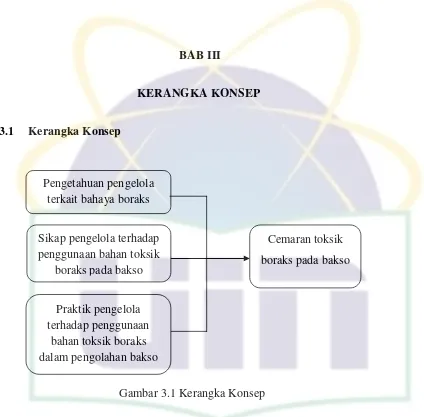 Gambar 3.1 Kerangka Konsep 