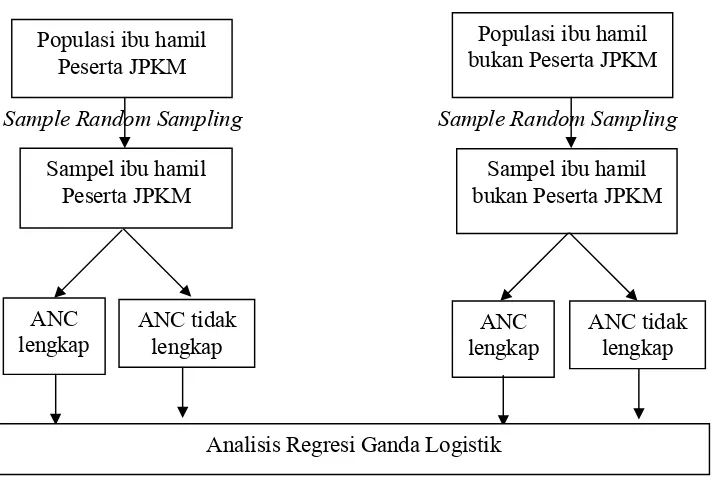 Gambar  3.1 : Kerangka Penelitian