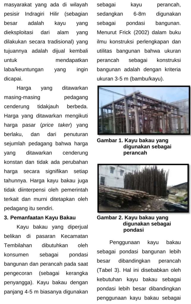 Gambar 1. Kayu bakau yang         digunakan sebagai          perancah 