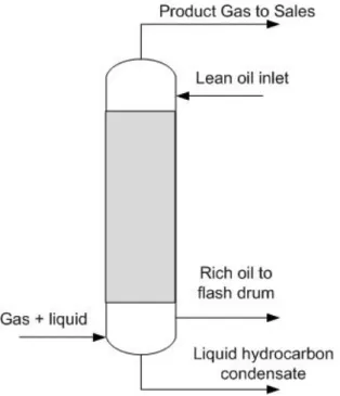 Figure 3.10. Simplified schematic of absorber, (CCPS, 2008). 