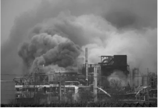 Figure 3.20. Smoke plumes from Formosa plant, source (CSB 2007). 