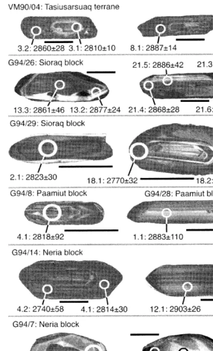 Fig. 4. Cathodoluminescence images of selected zircon grainsfrom the analysed samples.