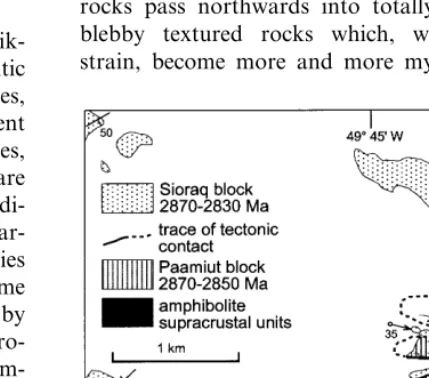 Fig. 2. Sketch cross section along the outer coast of the Paamiut region from Bjørnesund in the Tasiusarsuaq terrane to Tartoq inthe Sermiligaarsuk block showing the relative structural positions of each of the identiﬁed blocks