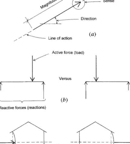 Figure 2.3 Properties of forces. (a) Graphical representation of a force. (b) Re- Re-active forces