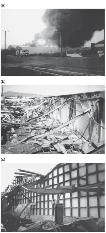 Figure 2.5  Example of fire resistance in a severe warehouse fire: (a) view of the fire after roof collapse; 