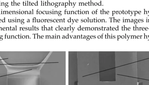 Figure 2.20 shows three SEM images of a prototype hydrofocusing unit fabricated using the tilted lithography method.