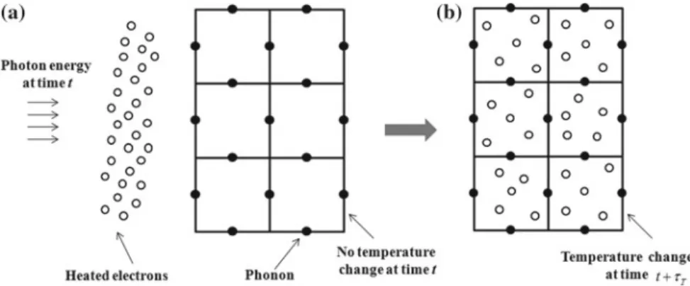 Fig. 1.2 The delayed thermal responses caused by phonon-electron interaction: a electron gas heating by photons and b metal lattice heating by phonon-electron interactions
