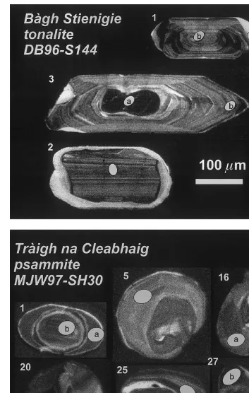 Fig. 5. Cathodoluminescence images of selected grains from (a) Ba`gh Steinigidh tonalite sample DB96-S144; (b) Tra`igh na Cleabhaigpsammite sample MJW97-SH30.