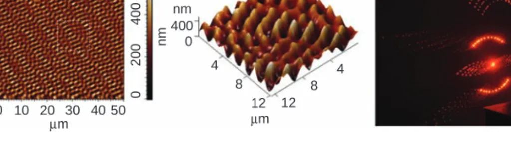 Figure 2.16. Relief structure recorded in film of the (Methyl Red)/PDADMAC material. See page 77 for text discussion of this figure.