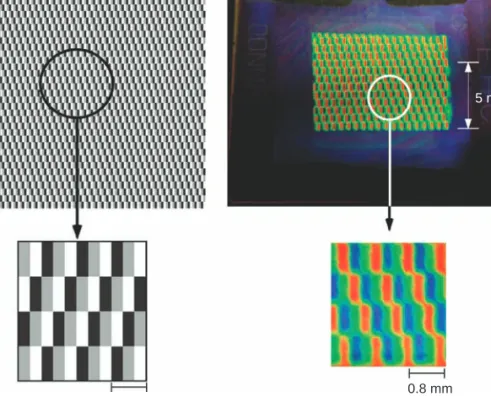 Figure 10.19. (a) Gray mask and (b) color patterning of the Ch LC containing E44, m-azo-8, and chiral obtained by UV irradiation for 10 s through the gray mask at 25 1 C