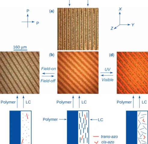 Figure 11.24. Polarizing optical micrographs showing an electrically and optically switchable diffraction grating prepared using an azobenzene polymer-stabilized nematic liquid crystal (15 wt% polymer)