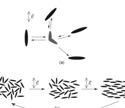Figure 1.9. Statistical photoorientation of azomolecules. (a) The molecules aligned along the polarization direction of the incident light absorb, isomerize, and reorient