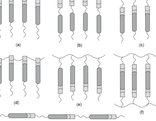 Figure 2.3. Principles of molecular construction of LC polymers by self-assembly induced by hydrogen or ionic bonding.