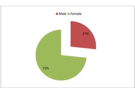 Figure 4.1. Respondent Gender  