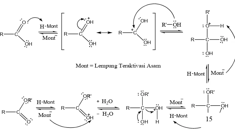 Gambar 5. Mekanisme Reaksi Esterifikasi Asam Lemak Bebas dengan Katalis