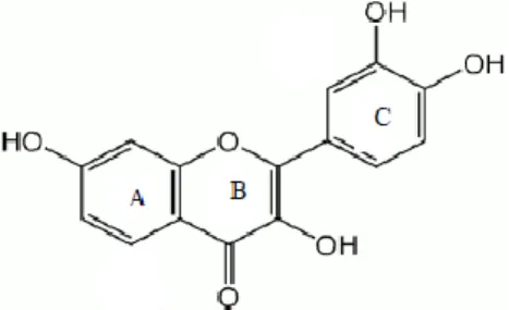 Gambar 4. Struktur Umum Flavonoid (Nugrahani dkk, 2016)  2.4.3  Fenol 