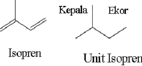 Gambar 6.Struktur umum isopren (Lenny, 2006)  2.4.5  Saponin  