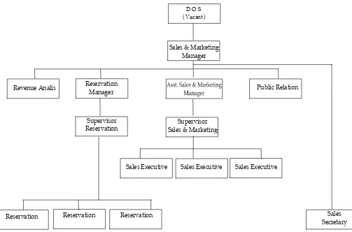  Gambar 5   Struktur Organisasi Sales & Marketing Departement 