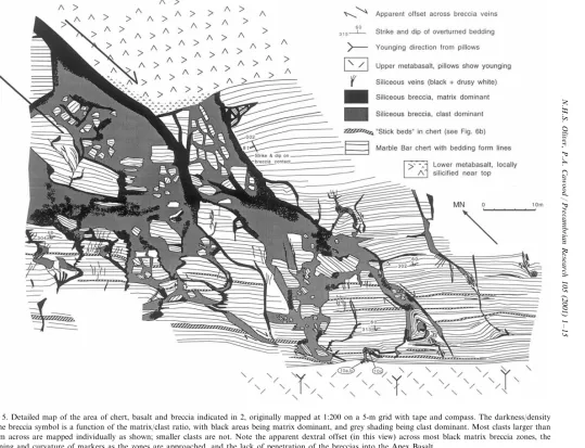 Fig. 5. Detailed map of the area of chert, basalt and breccia indicated in 2, originally mapped at 1:200 on a 5-m grid with tape and compass
