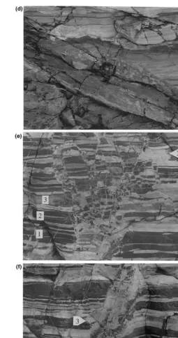 Fig. 6. (Continued)