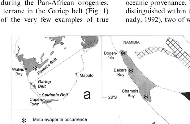 Fig. 1. Distribution of tectonostratigraphic units in the western Gariep belt.